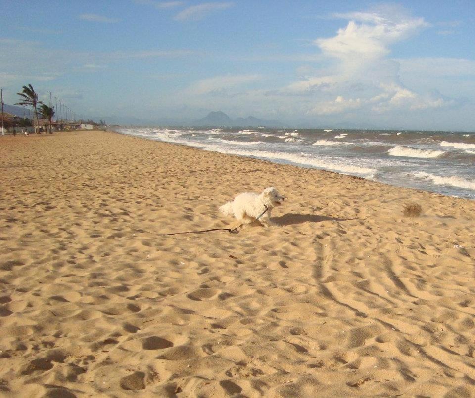 Casa De Praia - Verao Vermelho I - Cabo Frio - Unamar Dış mekan fotoğraf